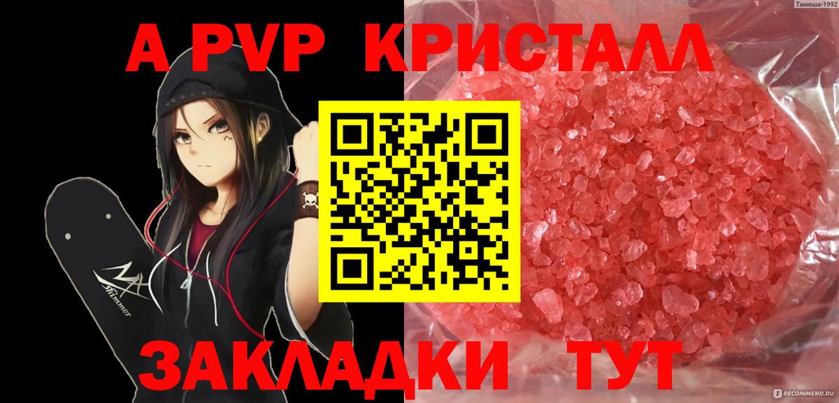 Альфа ПВП СК Прокопьевск