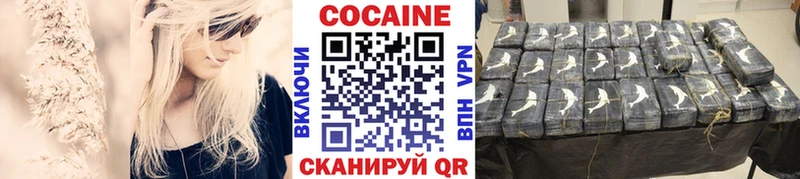 где купить наркотик  Прокопьевск  Cocaine Fish Scale 