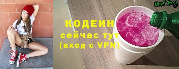 шишки Мегион