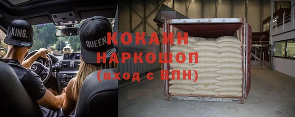 шишки Мегион