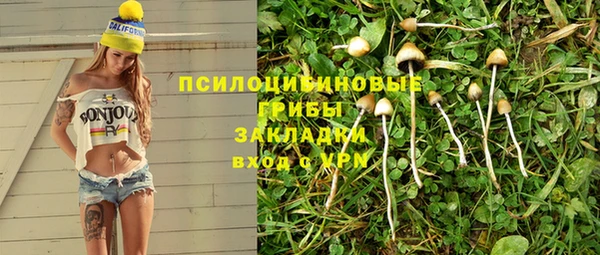 шишки Мегион