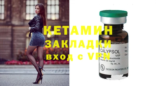 шишки Мегион