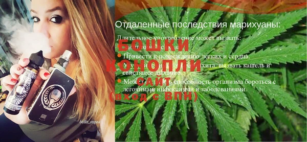 стаф Медногорск