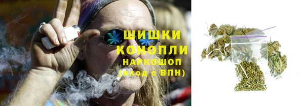 шишки Мегион