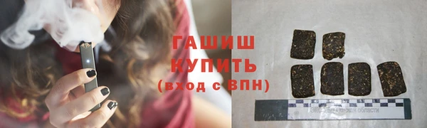 стаф Медногорск