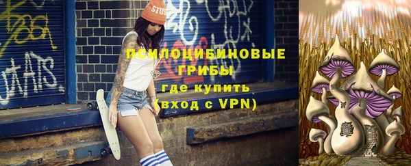 дживик Медвежьегорск