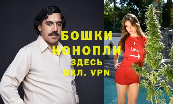 стаф Медногорск