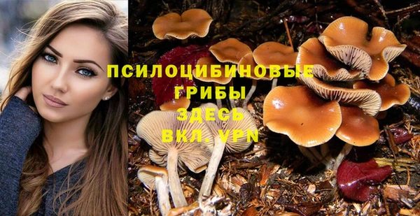 дживик Медвежьегорск