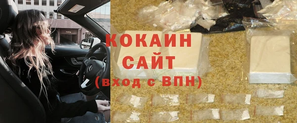 шишки Мегион