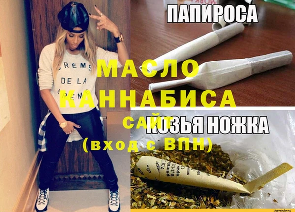 стаф Медногорск