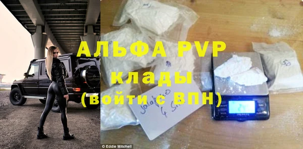 шишки Мегион