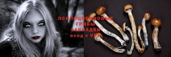 дживик Медвежьегорск