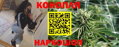 мяу мяу мука Новодвинск